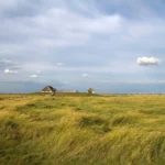 Die Halligen in der Nordsee